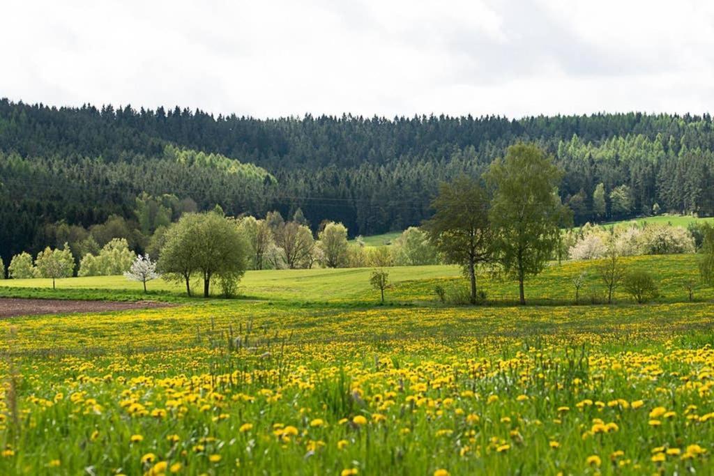 Gaestehaus Kohlberg Kohlberg  Kültér fotó